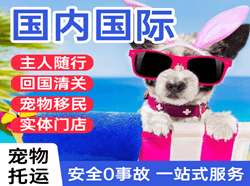 乌鲁木齐空运国际宠物托运 【国